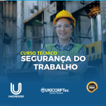 TÉCNICO EM SEGURANÇA DO TRABALHO